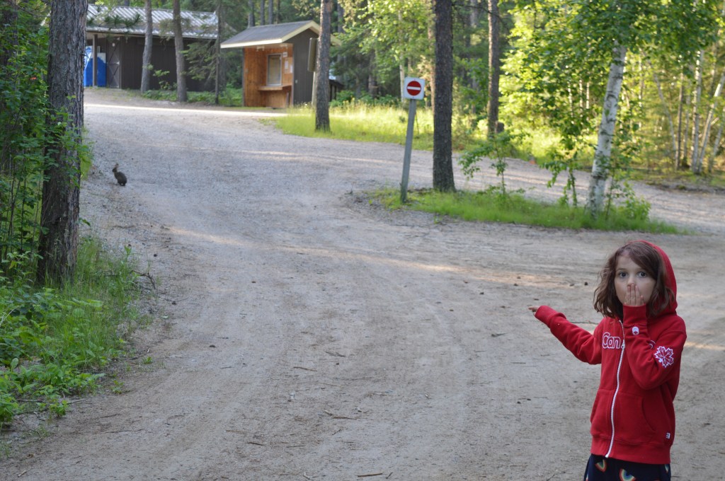 Child pointing to hare in forest