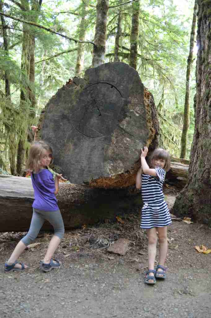 Two children holding up a tree