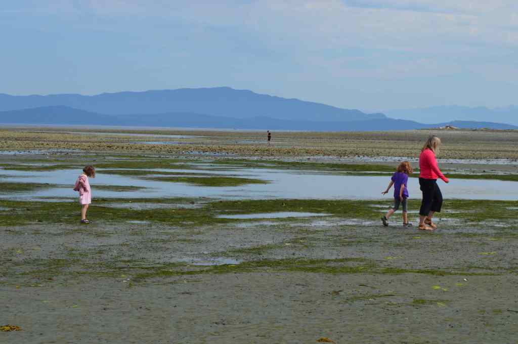 Family walking on beach with tide out