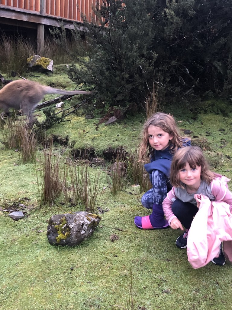 Children kneeling beside fleeing kangaroo