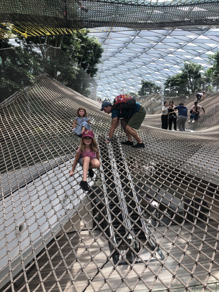 Tentative climbers cargo net changi airport