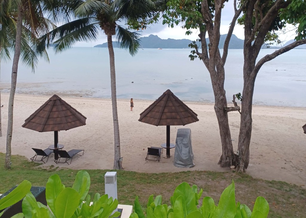 Secluded beachfront with loungers