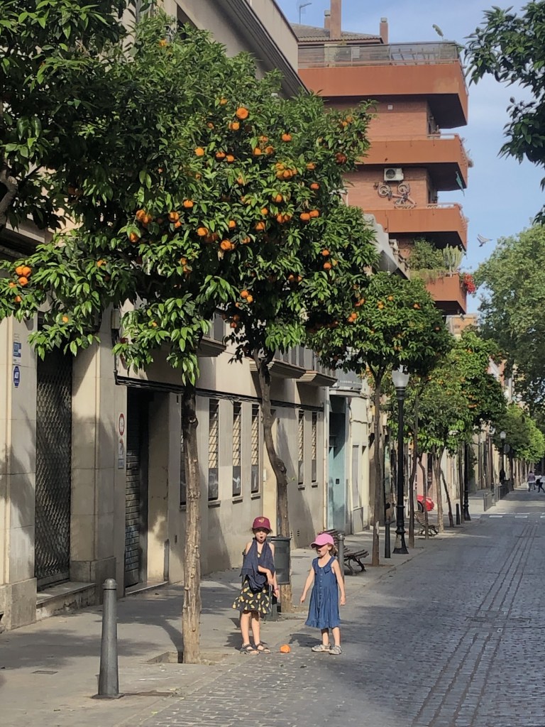 Girls pointing to a fallen orange from a tree on a street